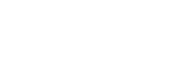 AVM